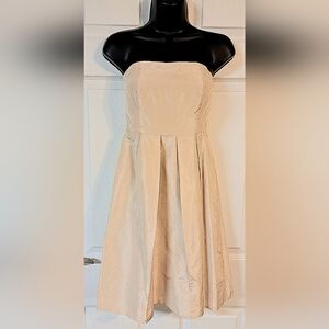J. Crew Light Tan Strapless Silk Dress